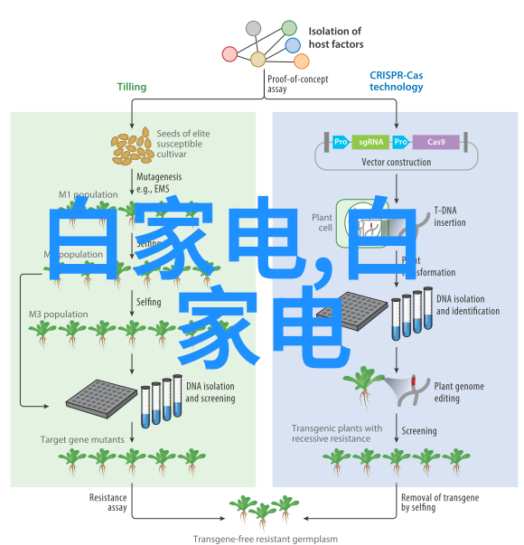 气得要炸化工制药用设备的幽默日常