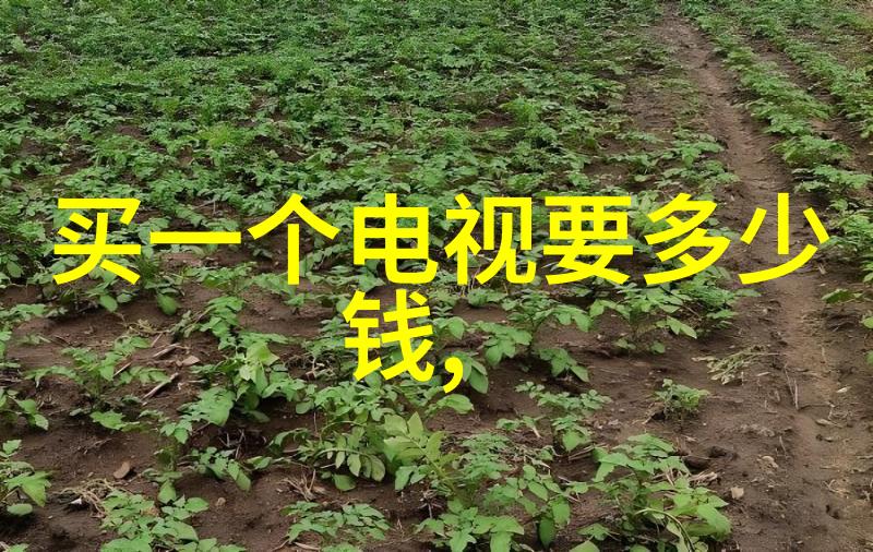 家用环境中运用aot光催化杀菌设备需要注意哪些因素