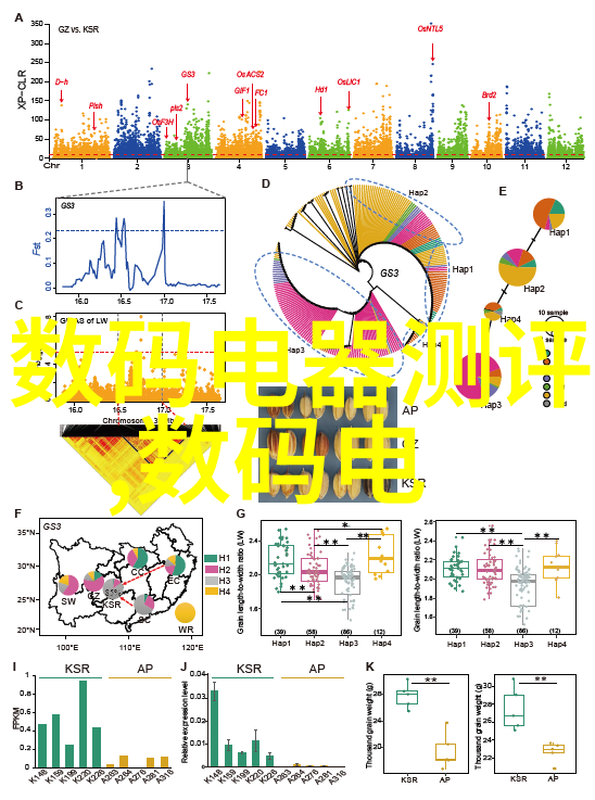 智慧图景2026年中国堆垛机市场如同巨龙腾飞规模将达2471亿元智能装备与系统是这场壮观盛宴的关键配