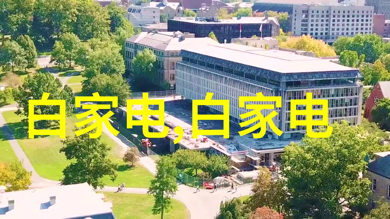 安全高效的安卓应用下载体验揭秘官方网站之旅