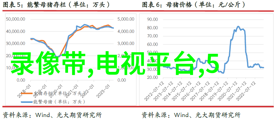 菜市场的生机与活力