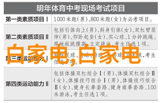 个人专利申请指南从创意到实物的全过程