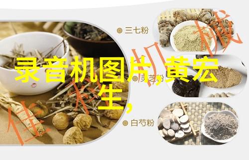 其他制剂设备-精细制造揭秘药品生产中的其他制剂设备