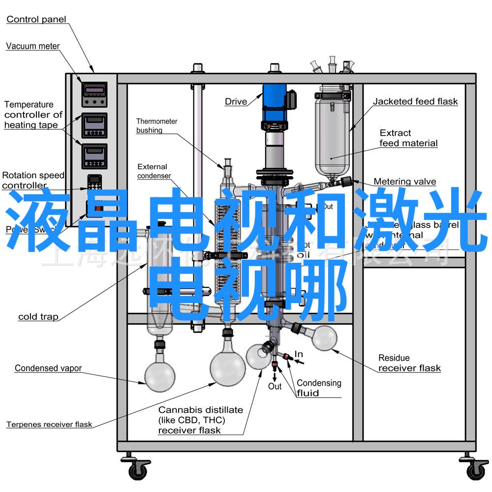 镜头中的共鸣解读合影在现代社会中的人文学术价值