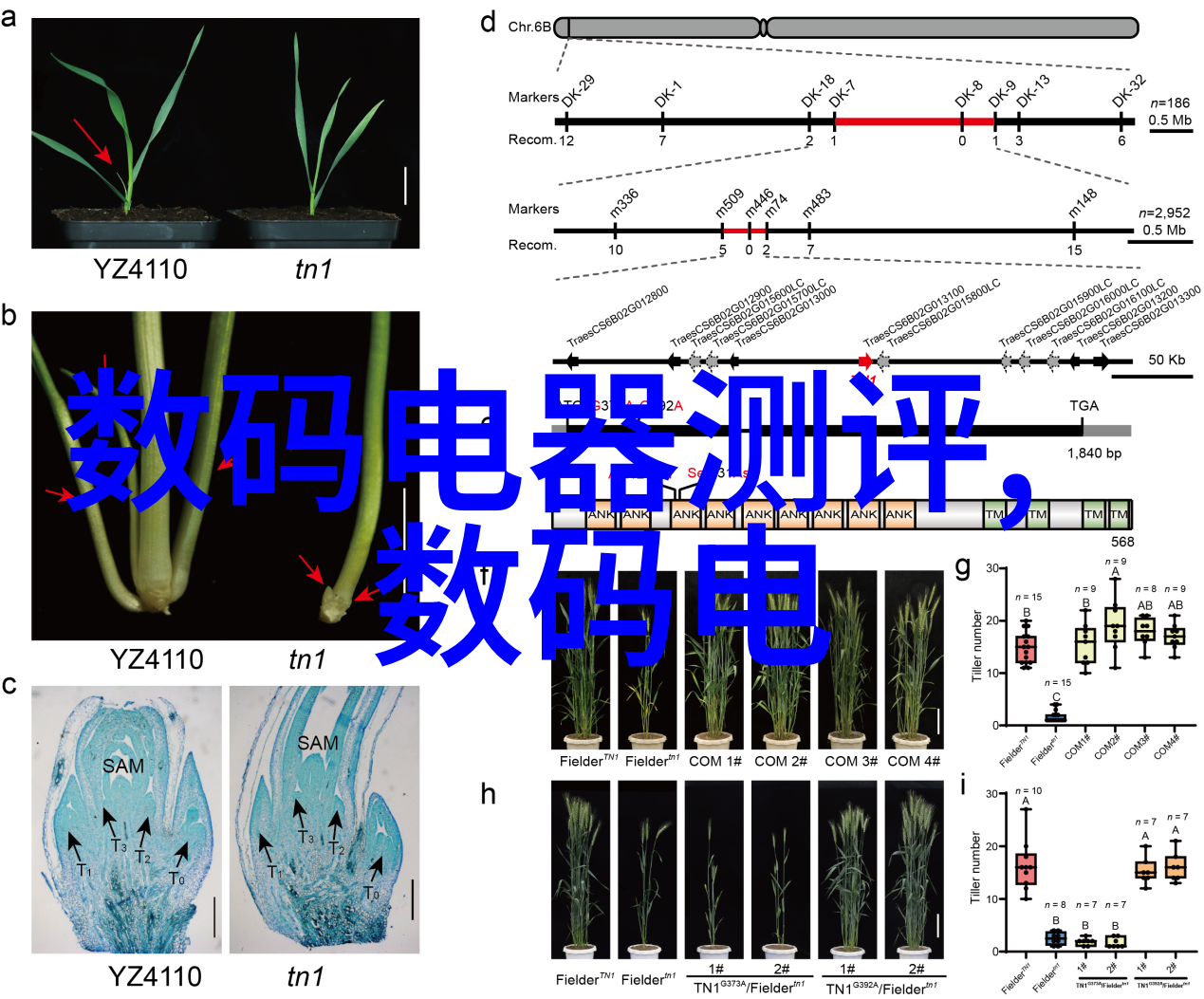 天津财经大学铸就金融学术与实践的殿堂