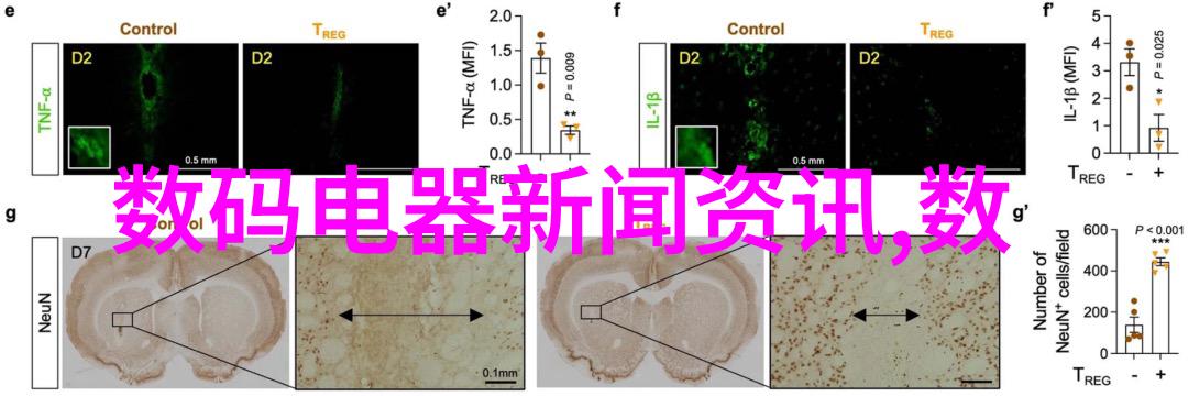 新品首发我来试试这款超火的智能手表