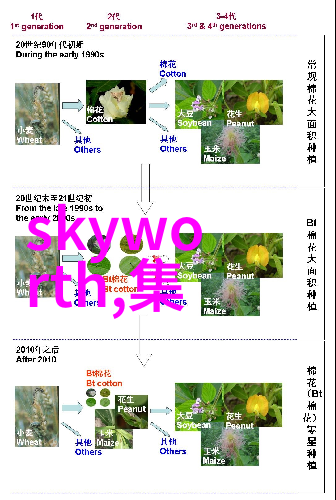 探索人文艺术课拍的魅力与深度一段文化之旅