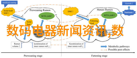 黑皮辣妹的星辰之旅无增删的奇幻征程