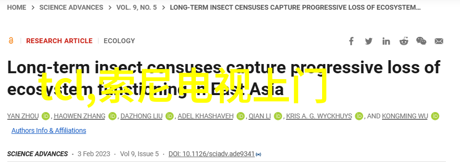 中国摄影艺术的闪耀之星探索十大顶尖匠人的世界