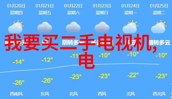 写申请报告我的求职大作战