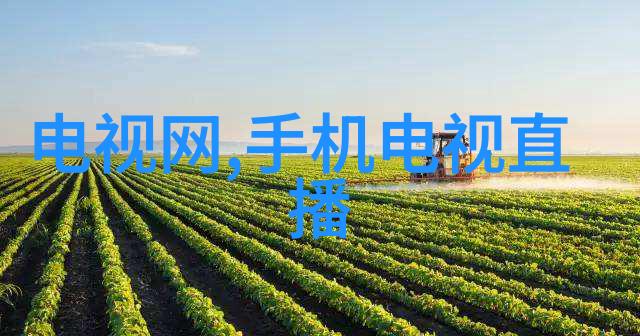 审计报告揭示企业财务真实面貌