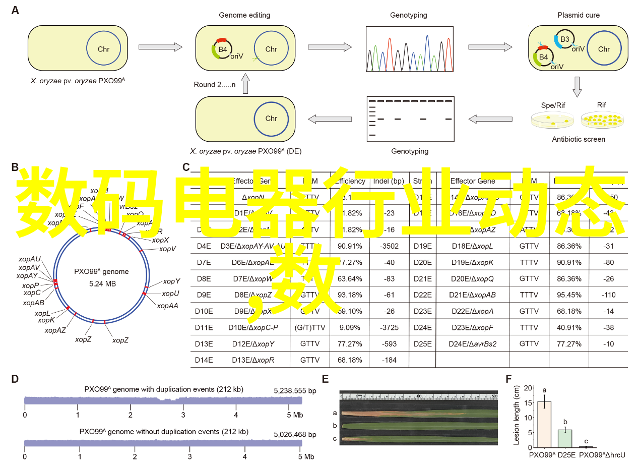 工业实践中的决策支持系统化工工艺流程的应用探索