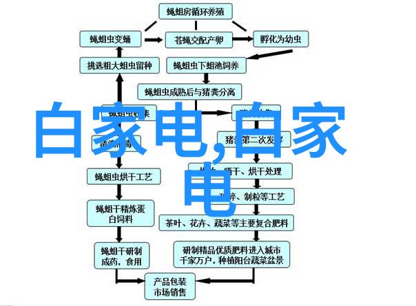 古董屏幕上的影像时光的静默舞者