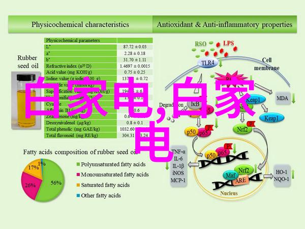 中国科学家包云岗开源芯片解决方案揭示新时代自主研发可能CCF-GAIR 2019盛会聚焦国产芯片前景