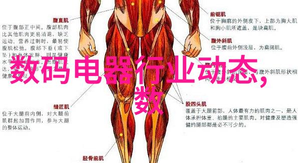 办公空间再造从乏味到精致的装修奇迹