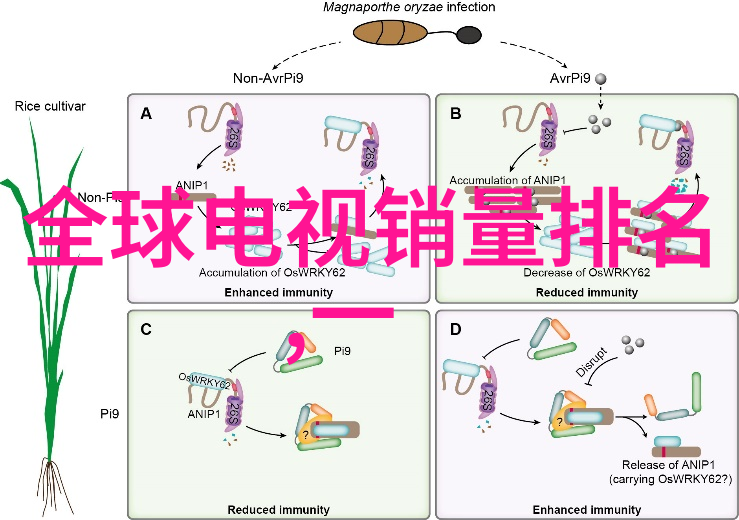 家装知识问题家居灯光设计的基本原则有哪些