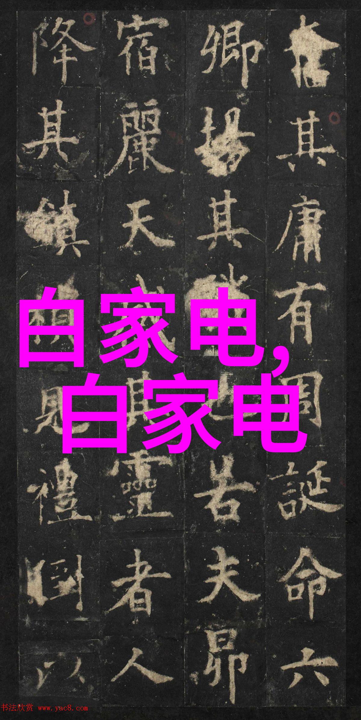 中央财经大学研究生院培育金融经济学术新力量