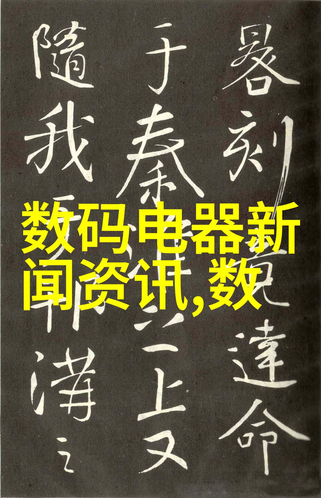 嵌入式应用软件开发工程师创新的技术与实践之星