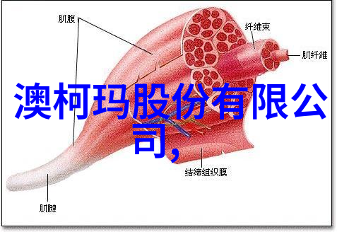 中国芯片梦之光自主光刻机的崛起与未来