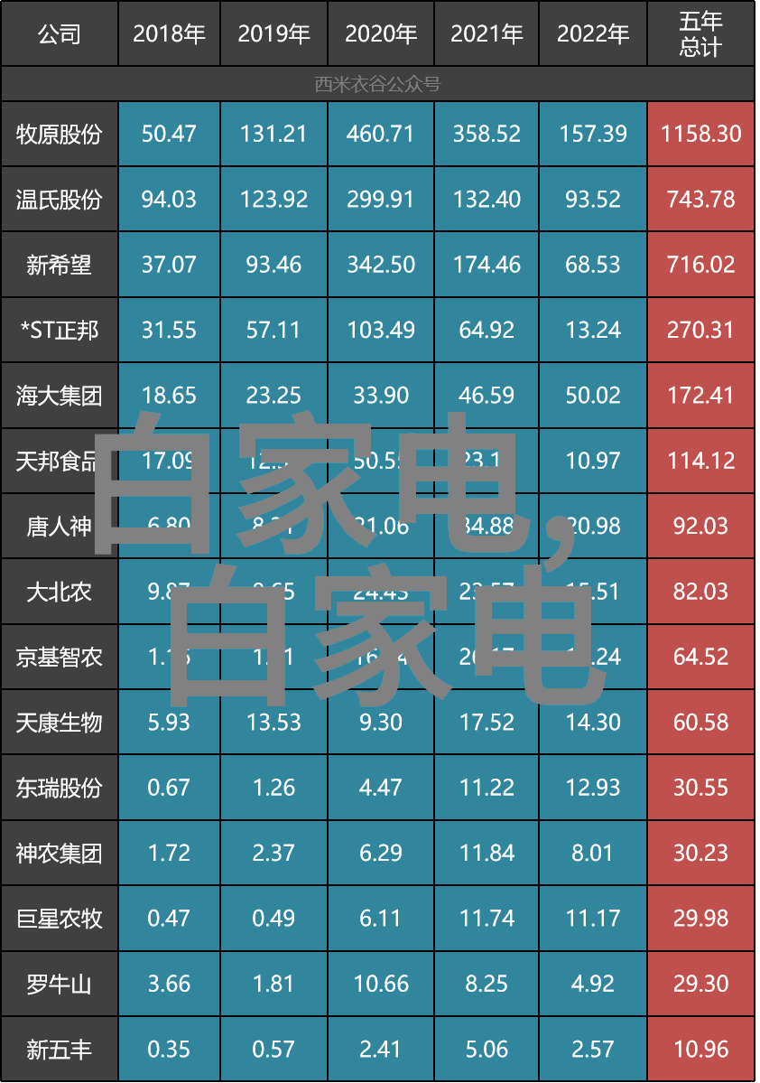 中关村摄影论坛图片-镜头下的科技奇迹中关村摄影论坛展现的创新视角