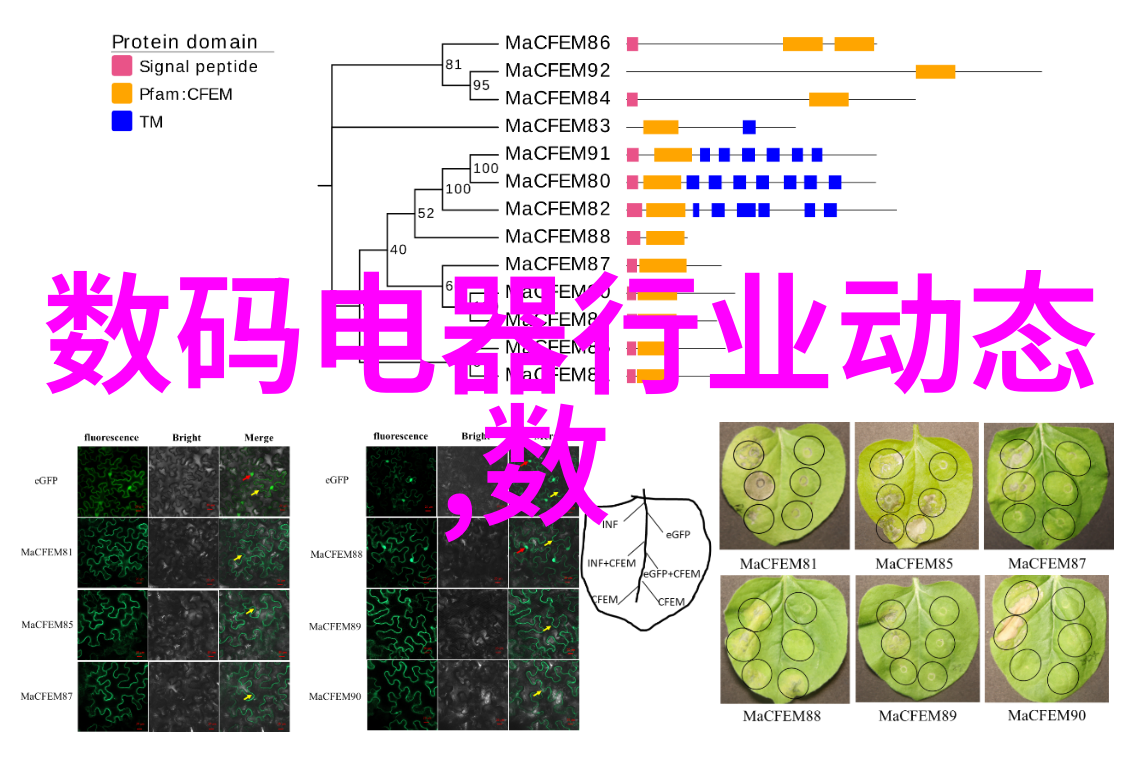 螺旋板冷凝器高效能的热交换设备