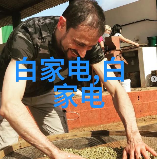 家居美学从装修设计到精致装饰的完美结合