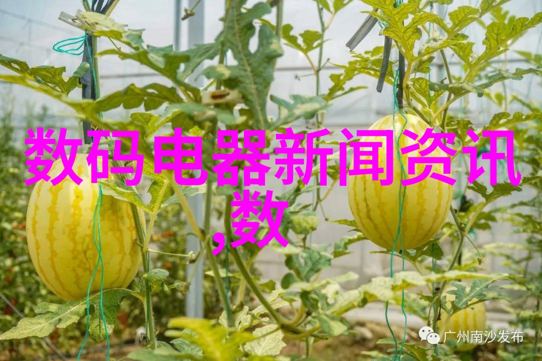 实战摄影视频教程中应如何设计引人入胜的教学案例