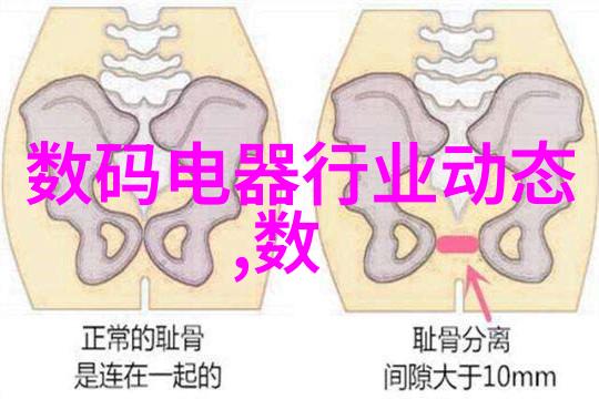 大型万能粉碎机我来教你如何用它做出超级美味的家常零食