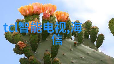 命名启示如何从生辰八字中精准选取完美名字