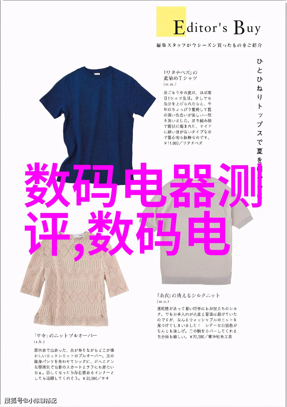 龙眼与荔枝奇妙结合世界首个龙眼与荔枝杂交新品种的诞生