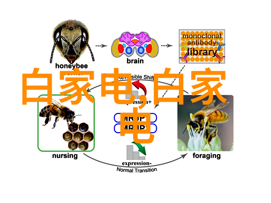 自然工艺揭秘不同类型石材的结晶特性