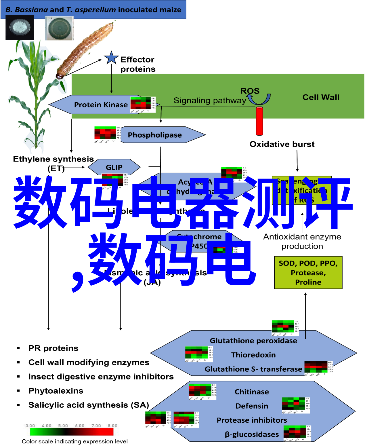 管材的种类繁多满足不同应用需求