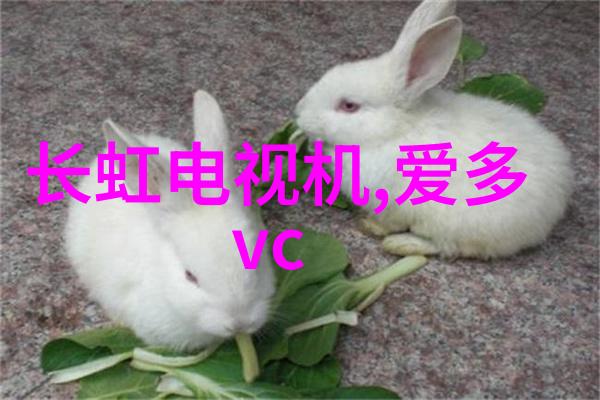 主题我在物联网中是怎么利用嵌入式技术的