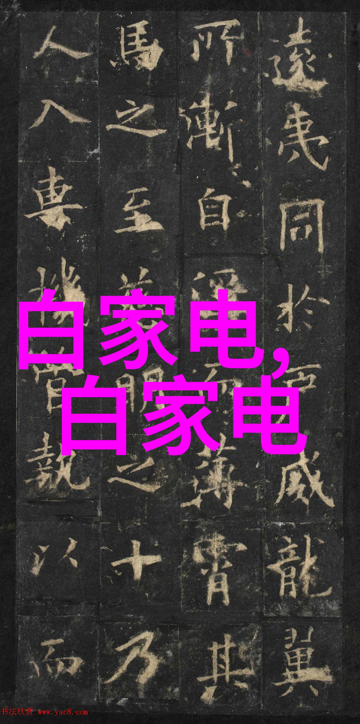 R是什么意思解密编程语言的奥秘