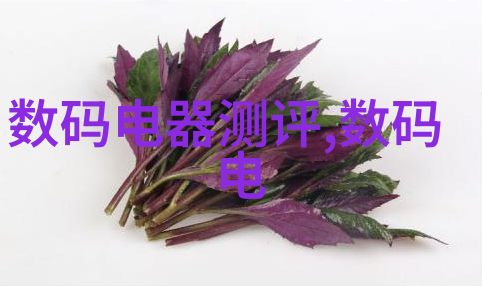 英语老师的柔软胸膛