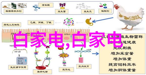 聘金战场嵌入式应届生工资竞争加剧