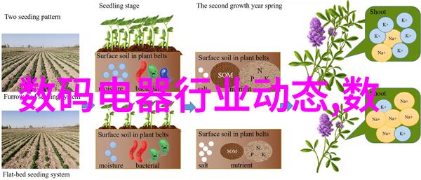 畅游天下同行网探索无限世界的伙伴