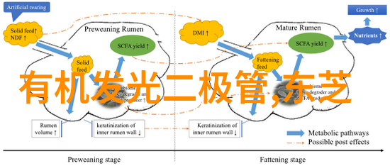 管式离心分离机旋转的谜团与沉默的秘密