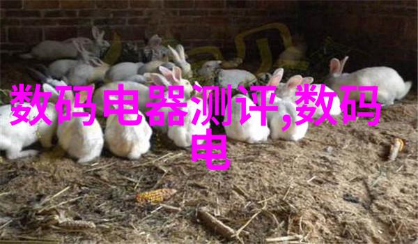 襄阳烘干机电话网带式烘干机振动料斗运转如同千军万马一声令下它们不仅能迅速高效地烘干各种物品还能在无人