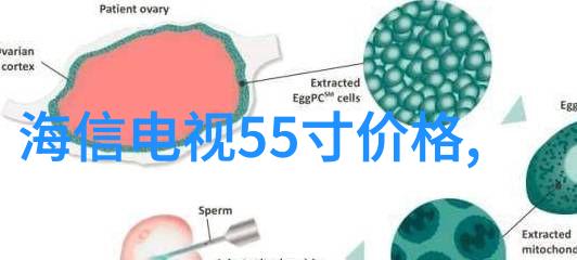 了解车间粉尘工业吸尘设备的价格因素