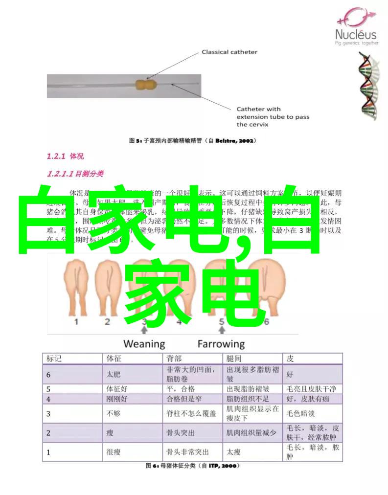 驾驶风云车载气象传感器与水质检测取样流程的完美融合