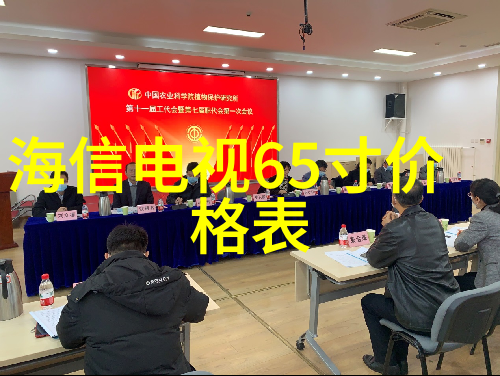 家居装饰的艺术100个精巧小技巧让空间焕然一新