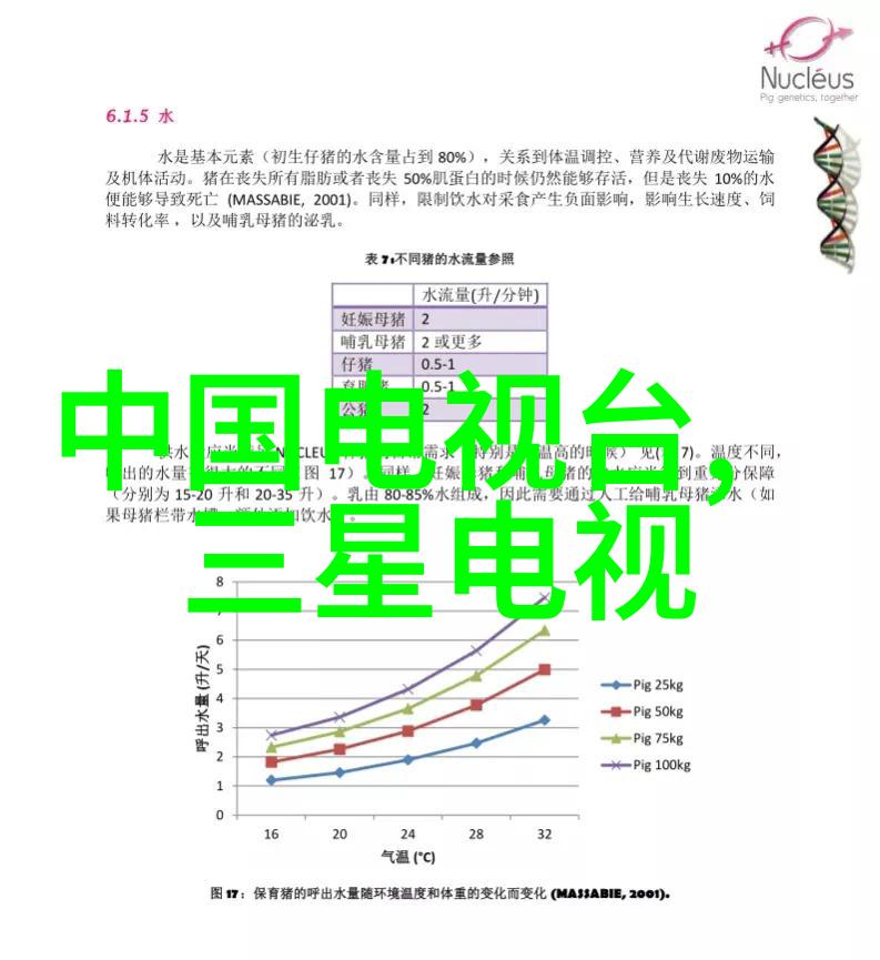 逆光寻影揭秘摄影入门的反差艺术