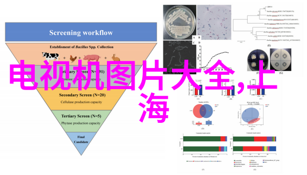 数字生活评测新一代智能冰箱的省能与智慧使用体验