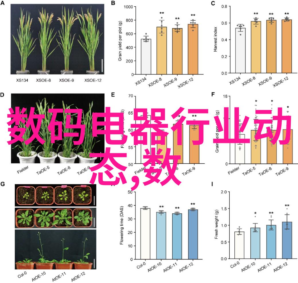 大自然的美丽让我们一起欣赏它