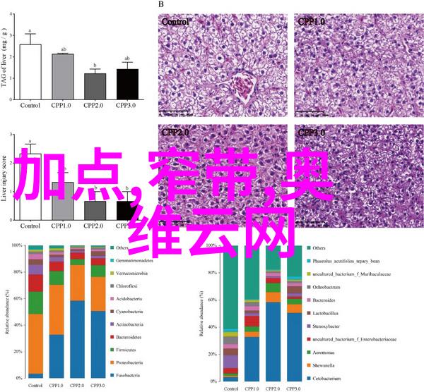 我和我的索尼rx100点亮旅行如何用一台小巧相机记录下人生最美瞬间