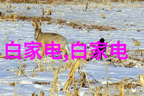 首单国家管网集团完成储气库库容首次线上竞标交易