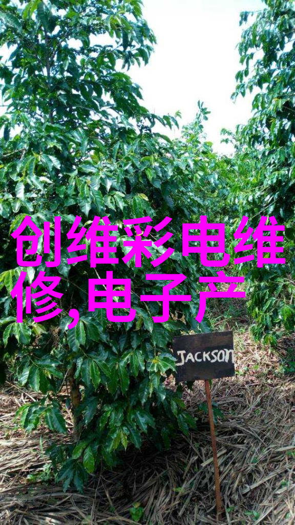 化学反应中的主角们揭秘影响着我们生活的八大基础材料