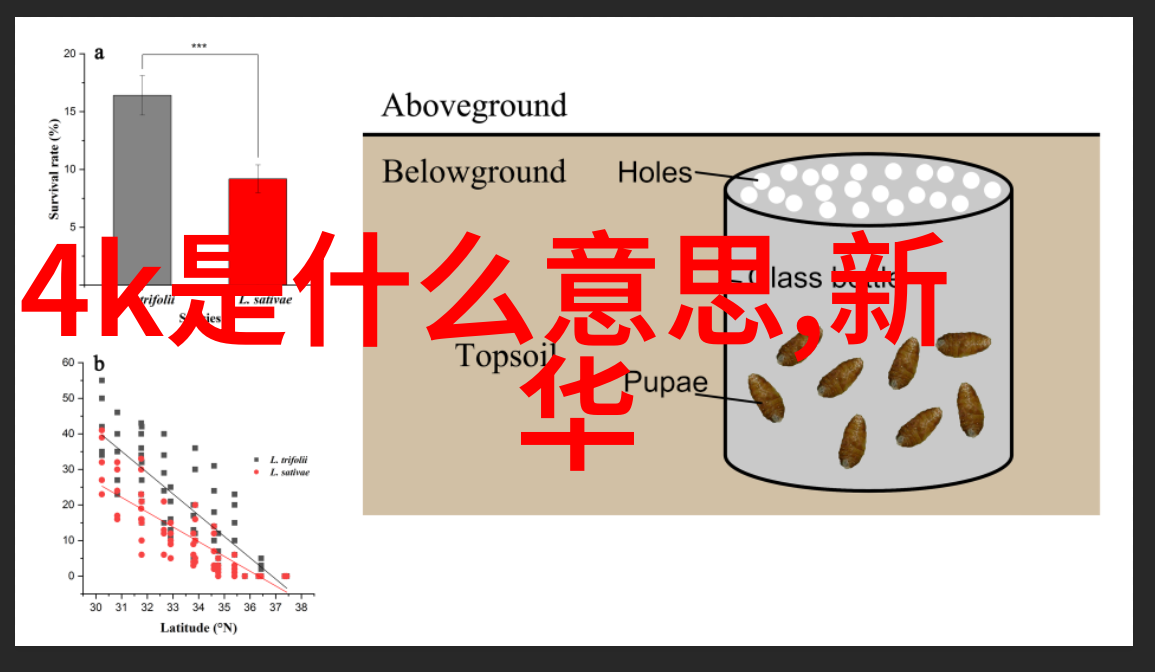 在选择别墅装修设计公司时的考虑因素与选购心得