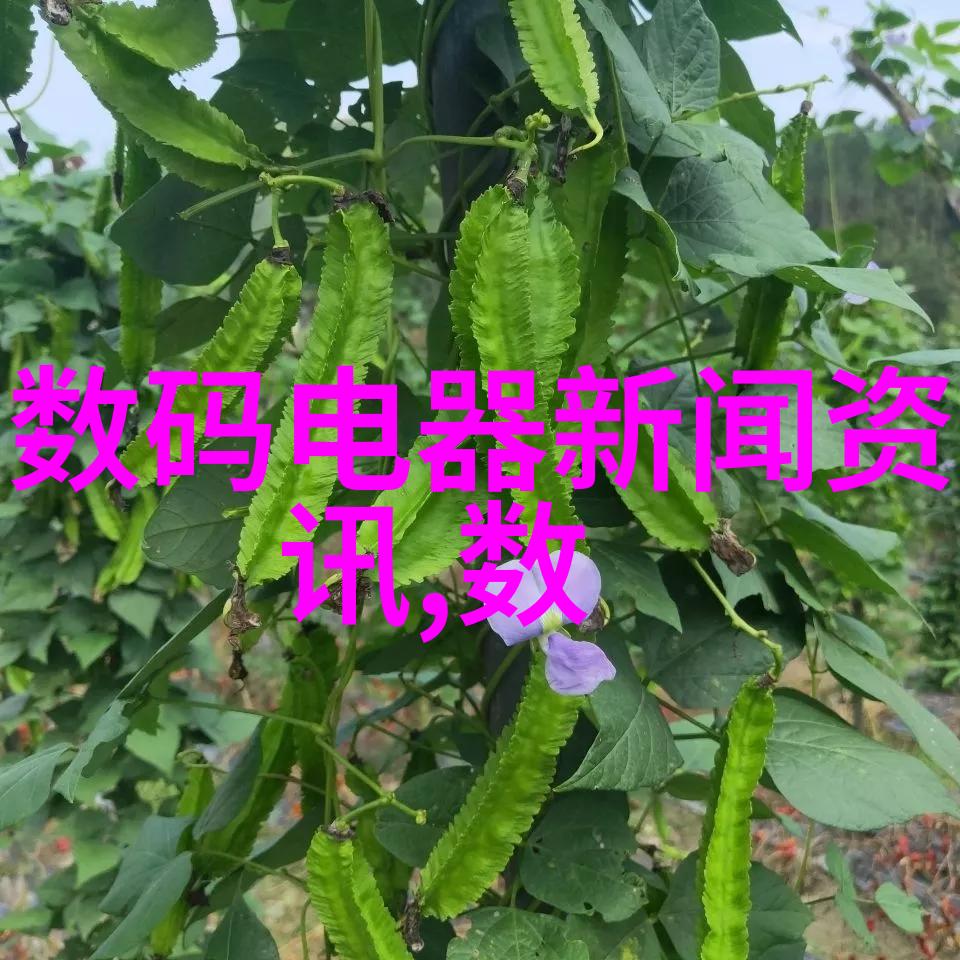 芯片的半导体本质探究